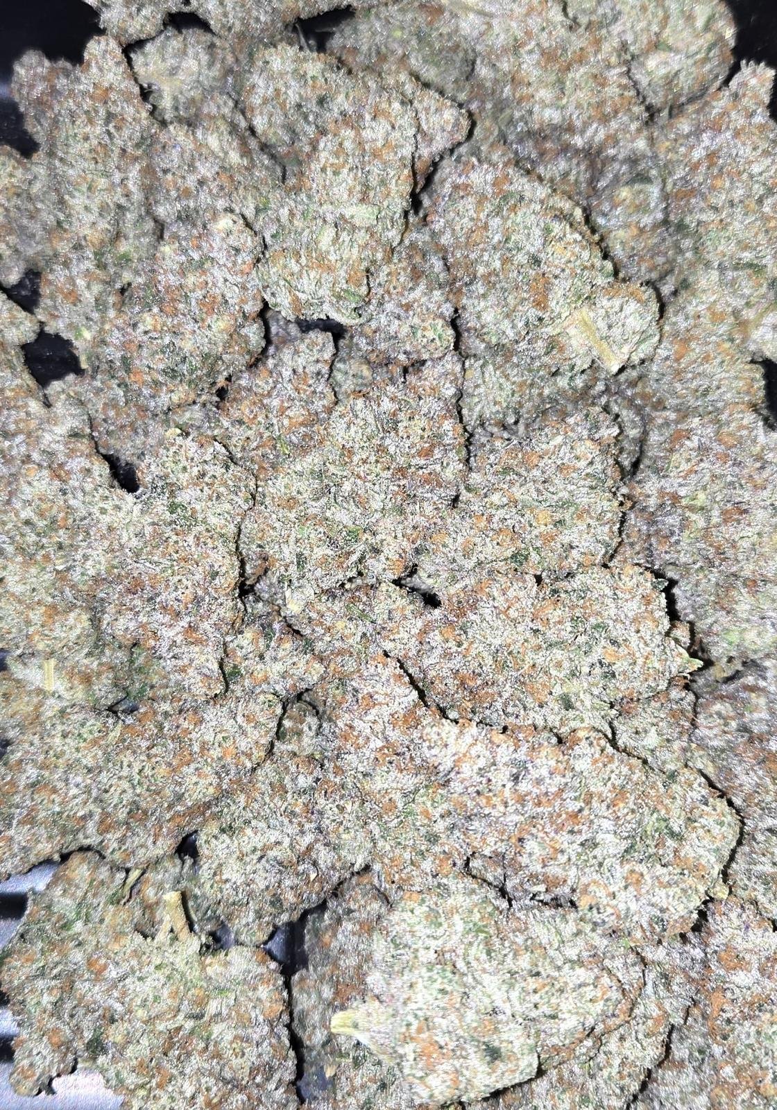 Bud Image 3